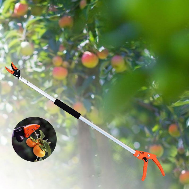 Long Reach Hedge Trimmer for Tall Hedges