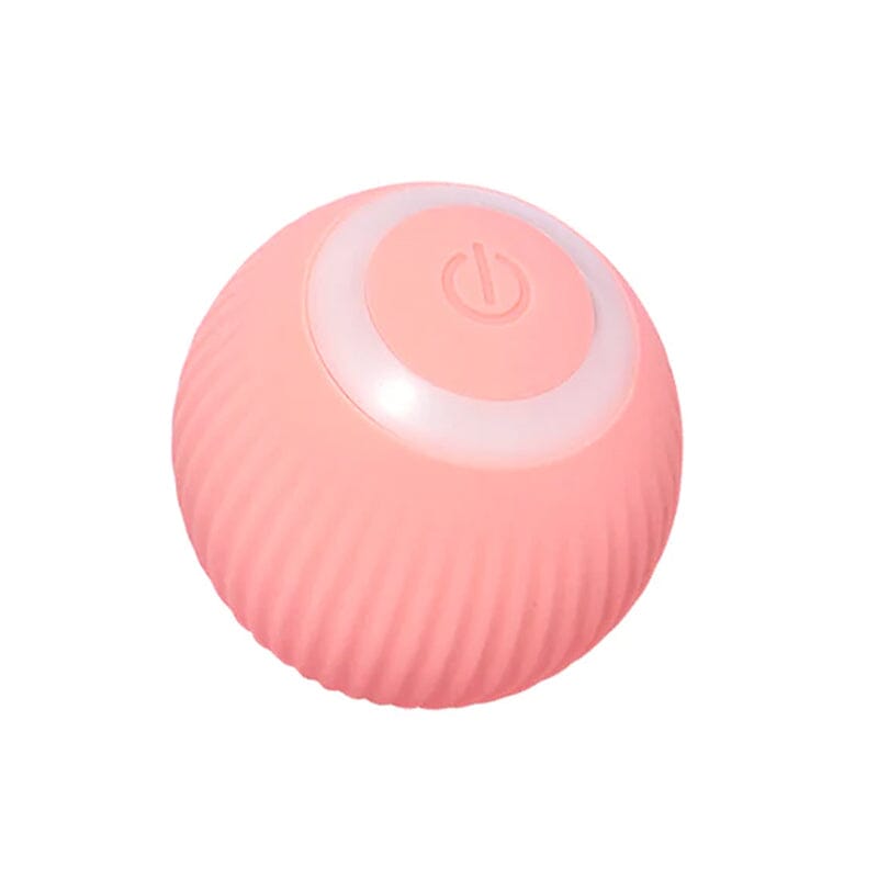 Fun Electronic Pet Play Ball