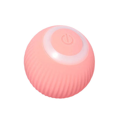 Fun Electronic Pet Play Ball