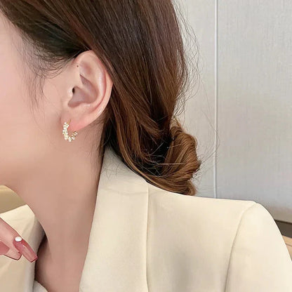 Elegant Sparkling Round Earrings