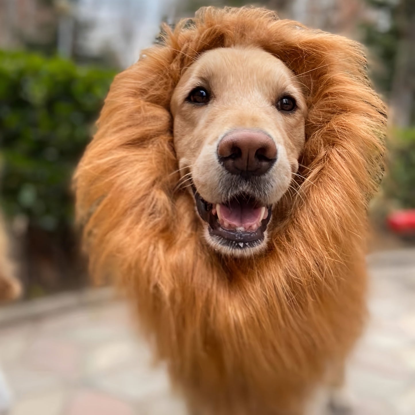 Comical Lion Pet Costume for Dogs