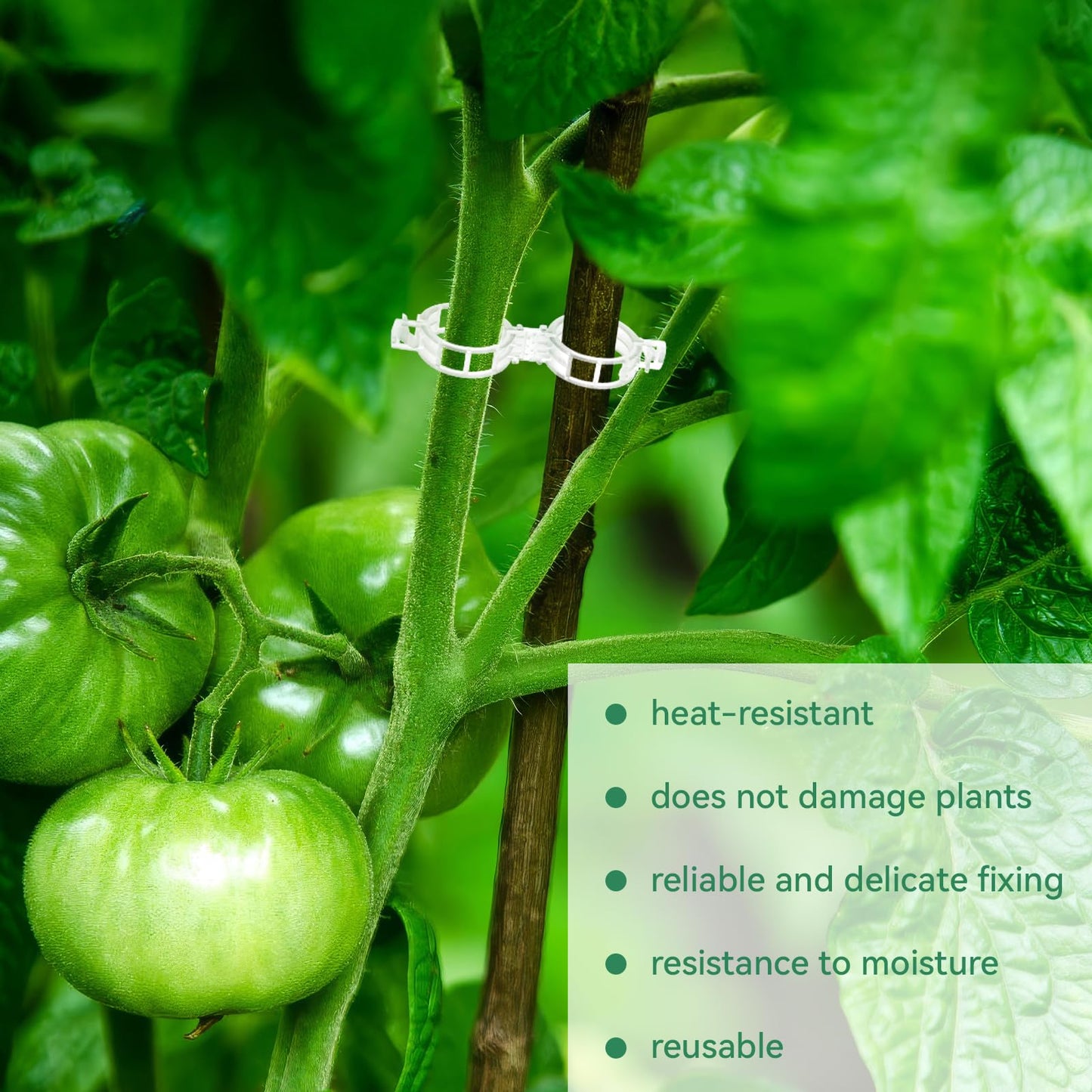 Simple Plant Supports for Tomatoes