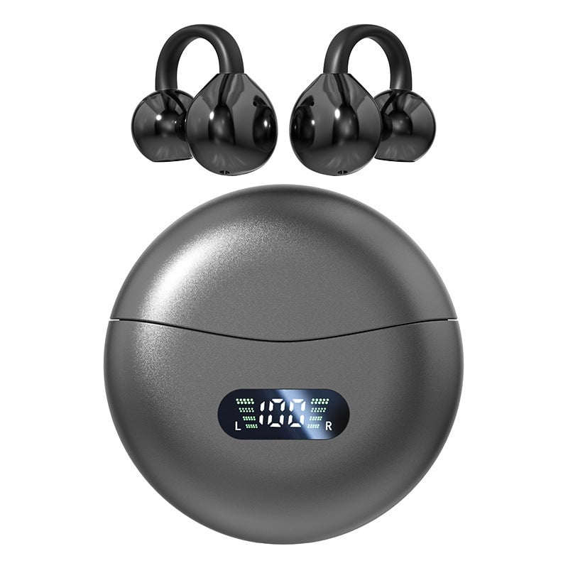 Bluetooth Translator Earphones