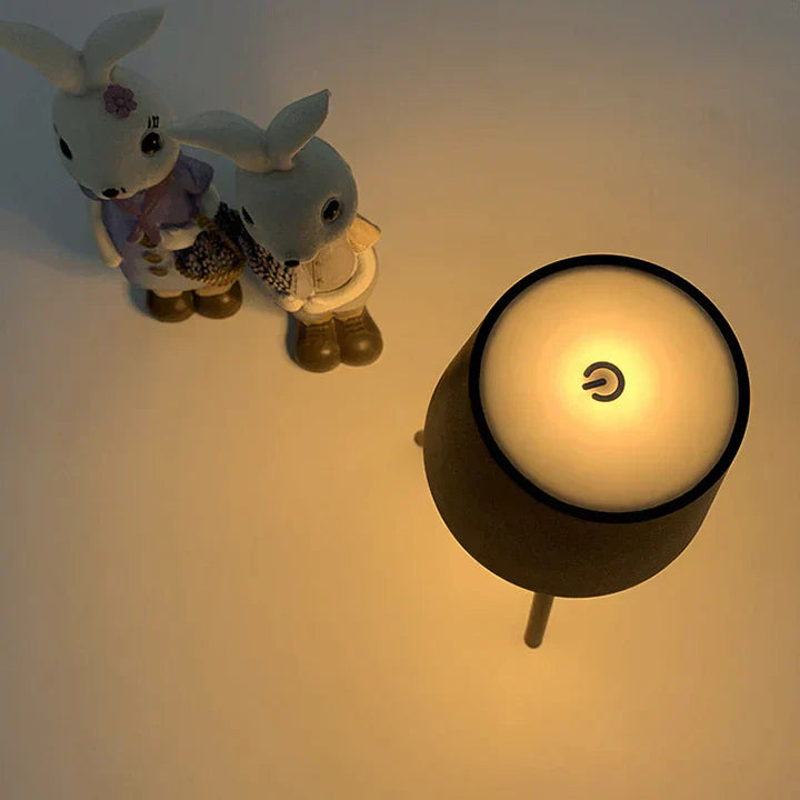 Contemporary Cordless Desk Light Lamp