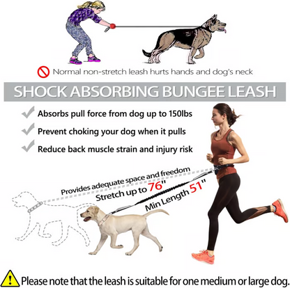 Comfortable No Pull Dog Harness Leash