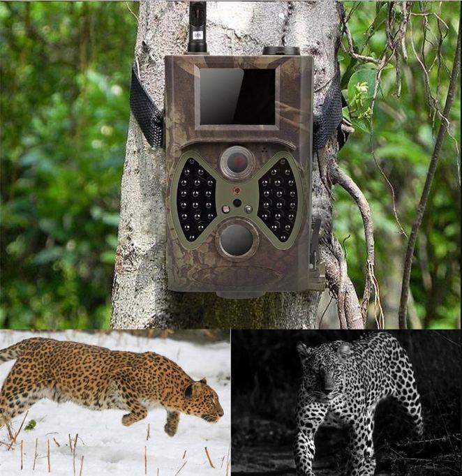 HD Motion Activated Outdoor Game Camera for Hunters