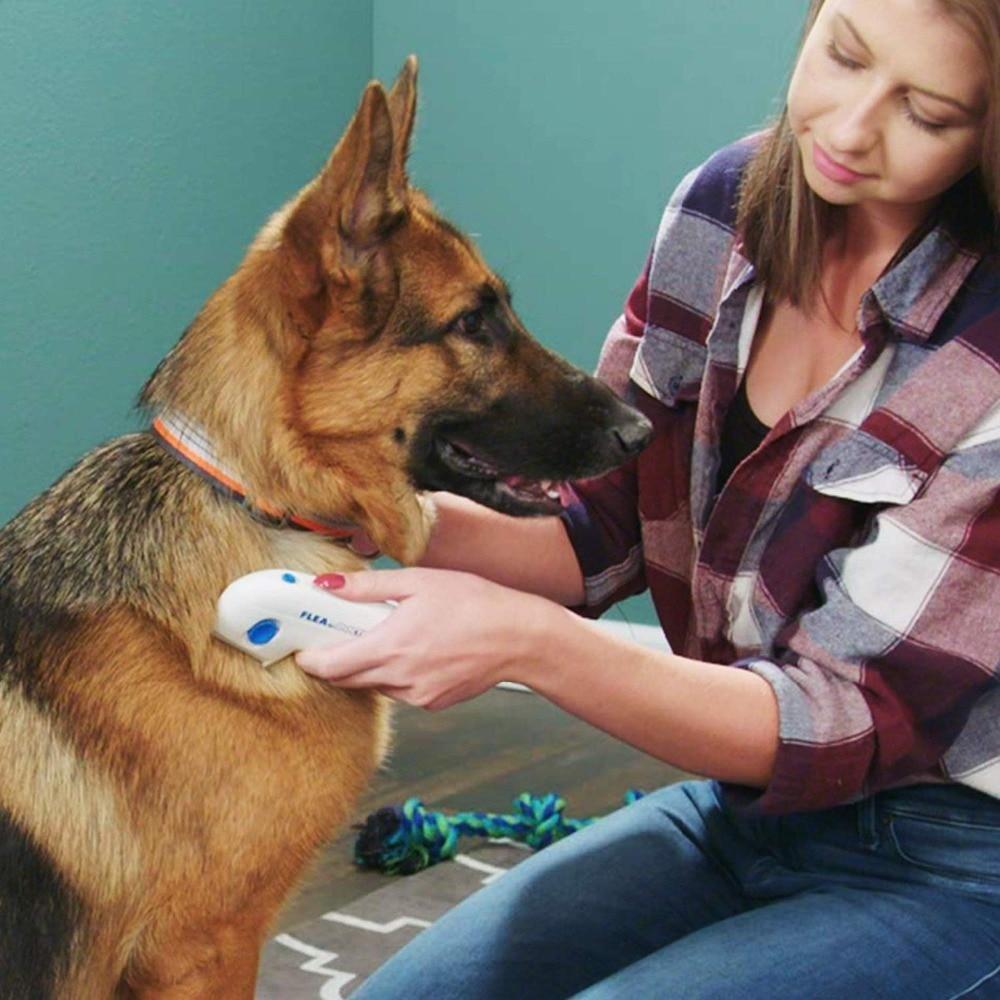 Easy Pet Flea Removal Tool