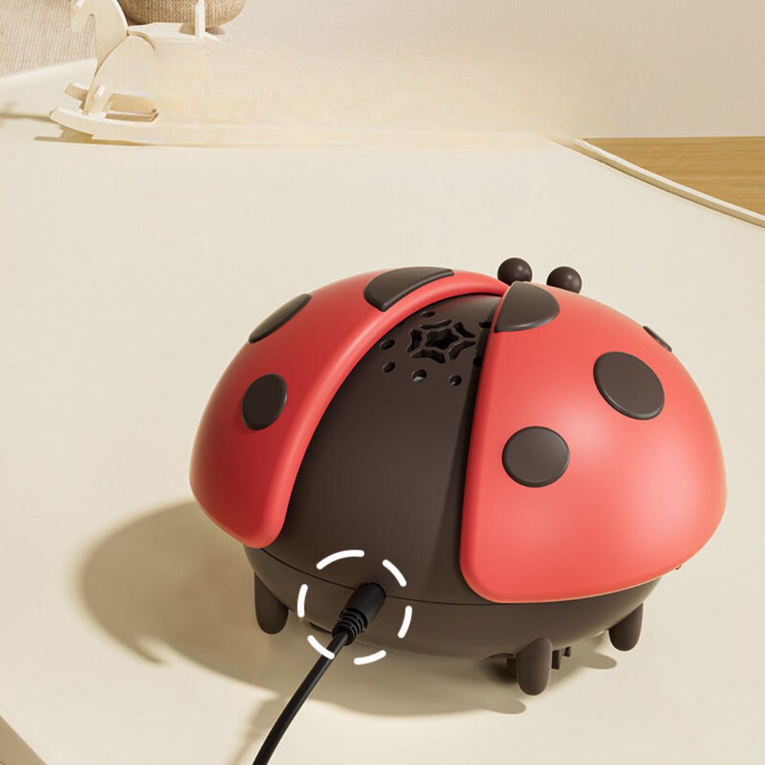 Fun Kids Ladybug Splash Toy