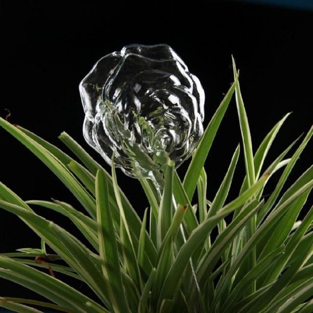 Self Watering Indoor Plant Pot