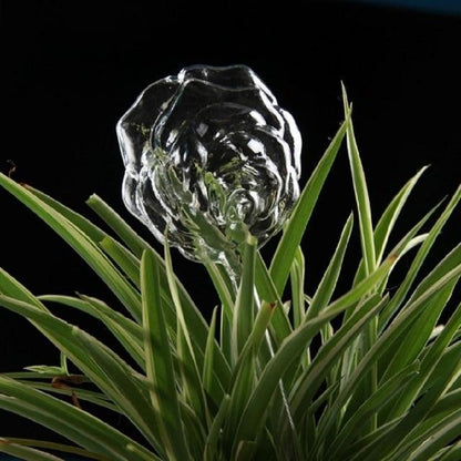 Self Watering Indoor Plant Pot