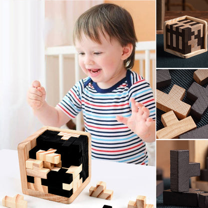 Challenging Wooden Logic Puzzle Game