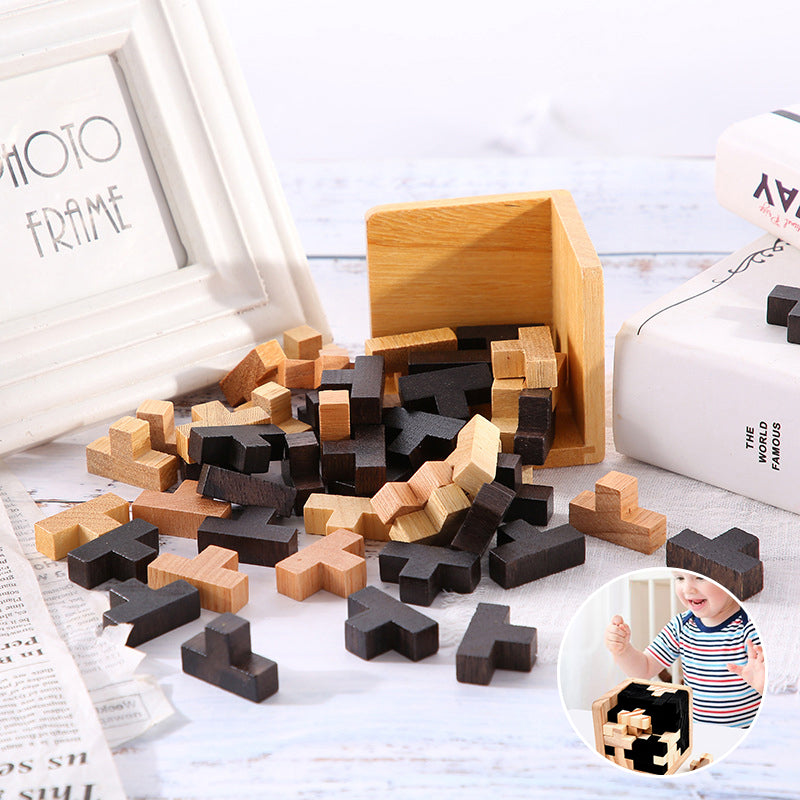 Classic Wooden Puzzle Mind Game