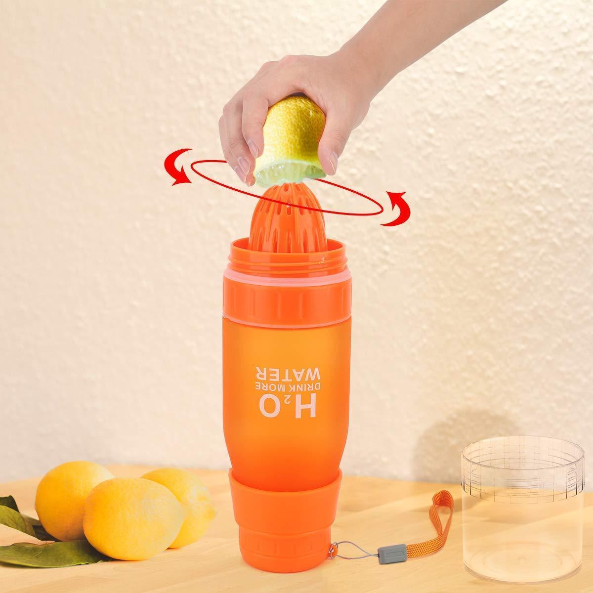 Fresh Fruit Flavor Water Bottle