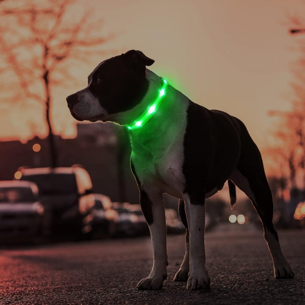Durable Pet Tracker Collar with GPS - Luxicro