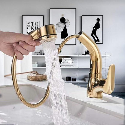 Adjustable 360 Degree Shower Head Faucet