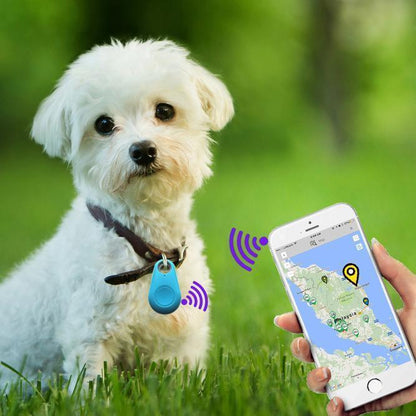 Smart Pet GPS Tracking Device