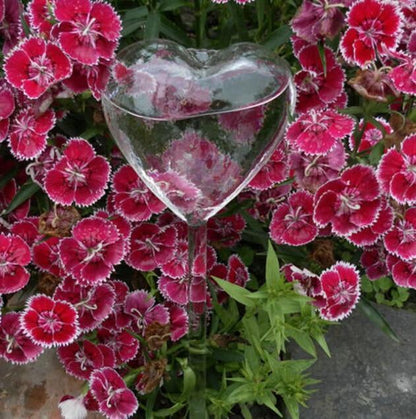 Self Watering Indoor Plant Pot