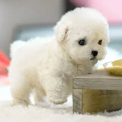 Fun Electronic Pet Dog Playset Toy