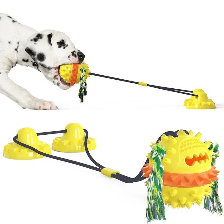 Interactive Pet Playtime Ball Toy