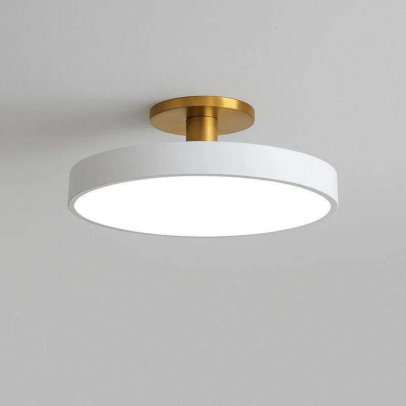Sleek LED Flush Mount Ceiling Light Fixture