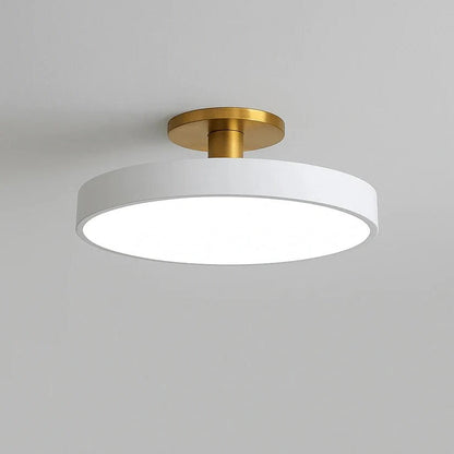 Sleek LED Flush Mount Ceiling Light Fixture