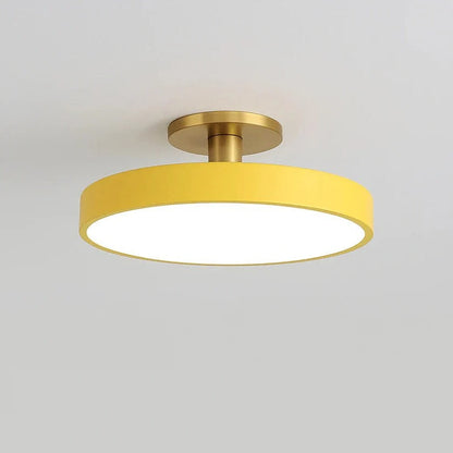 Sleek LED Flush Mount Ceiling Light Fixture