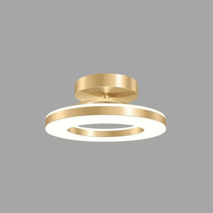 Bright Modern Ceiling LED Lighting