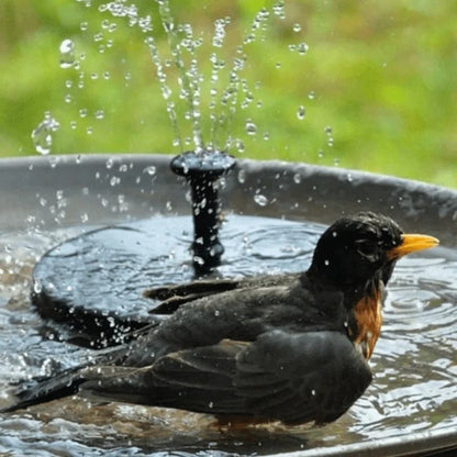Sunny Garden Solar Water Feature