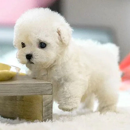 Cuddly Animated Puppy Soft Toy - Luxicro