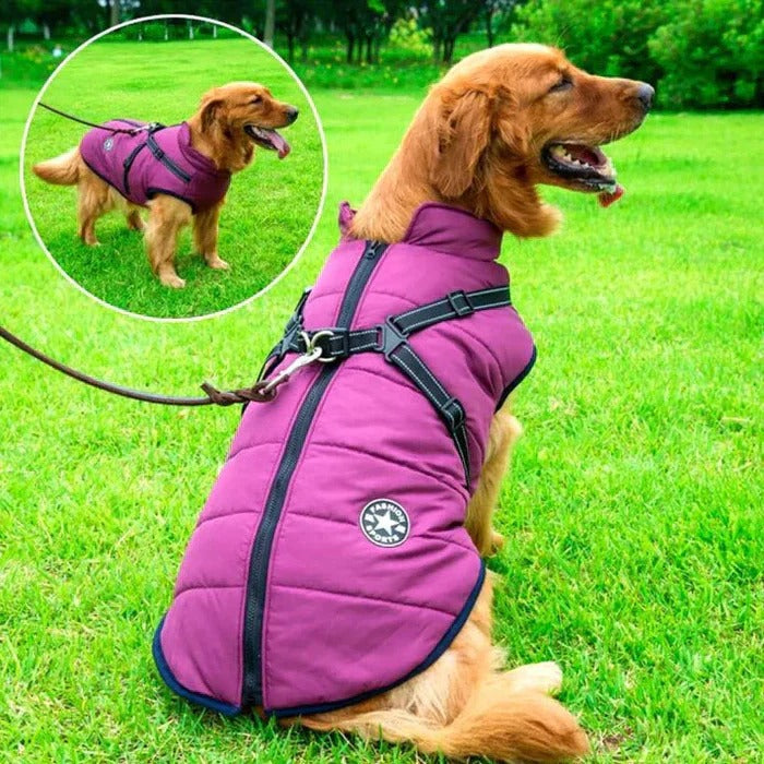 Warm Insulated Reflective Dog Coat With Safety Harness - Luxicro