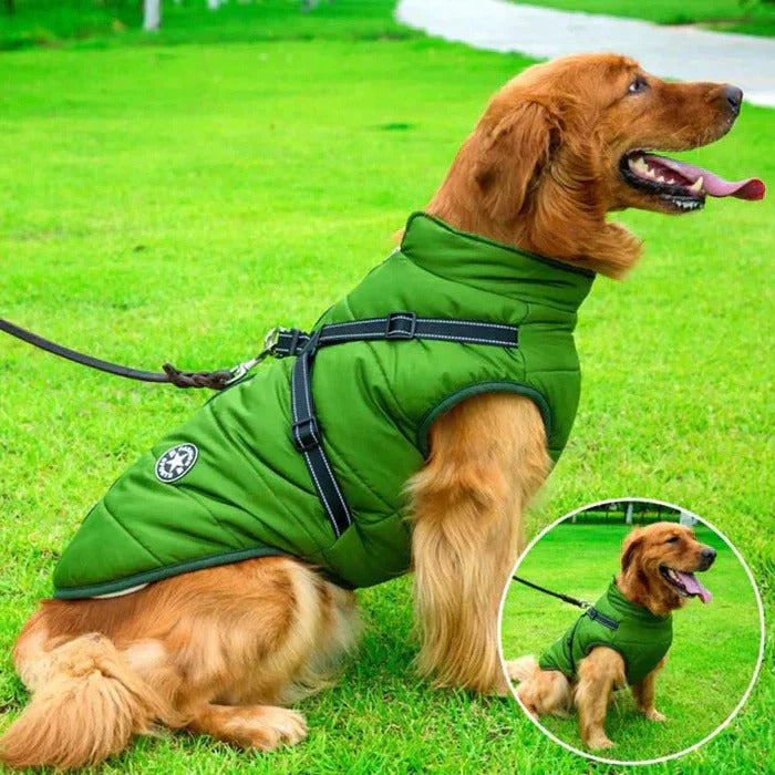 Warm Insulated Reflective Dog Coat With Safety Harness