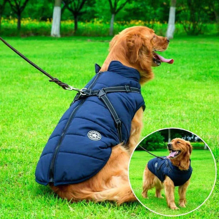 Warm Insulated Reflective Dog Coat With Safety Harness