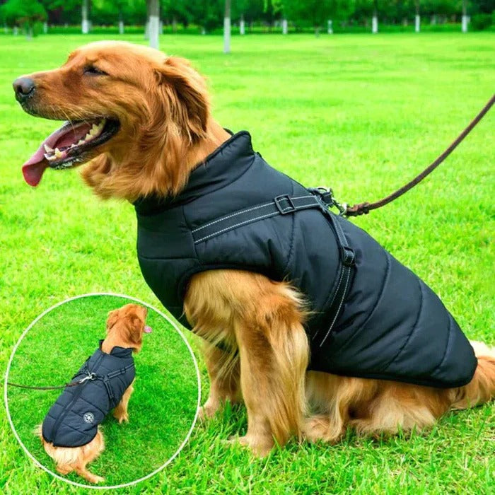 Warm Insulated Reflective Dog Coat With Safety Harness