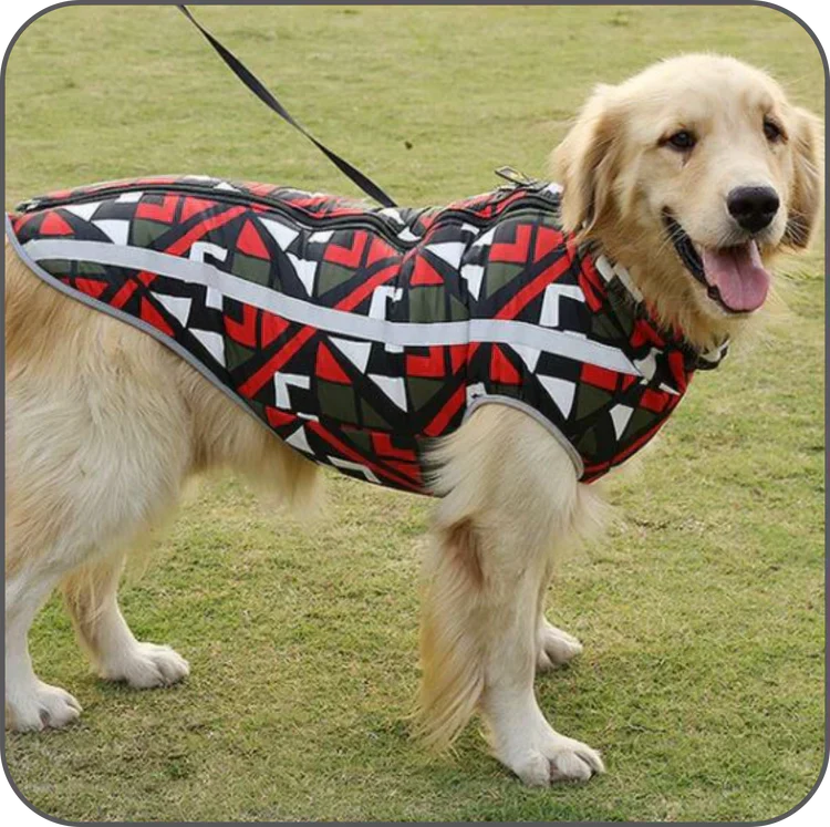 Warm Insulated Dog Jacket for Cold Weather