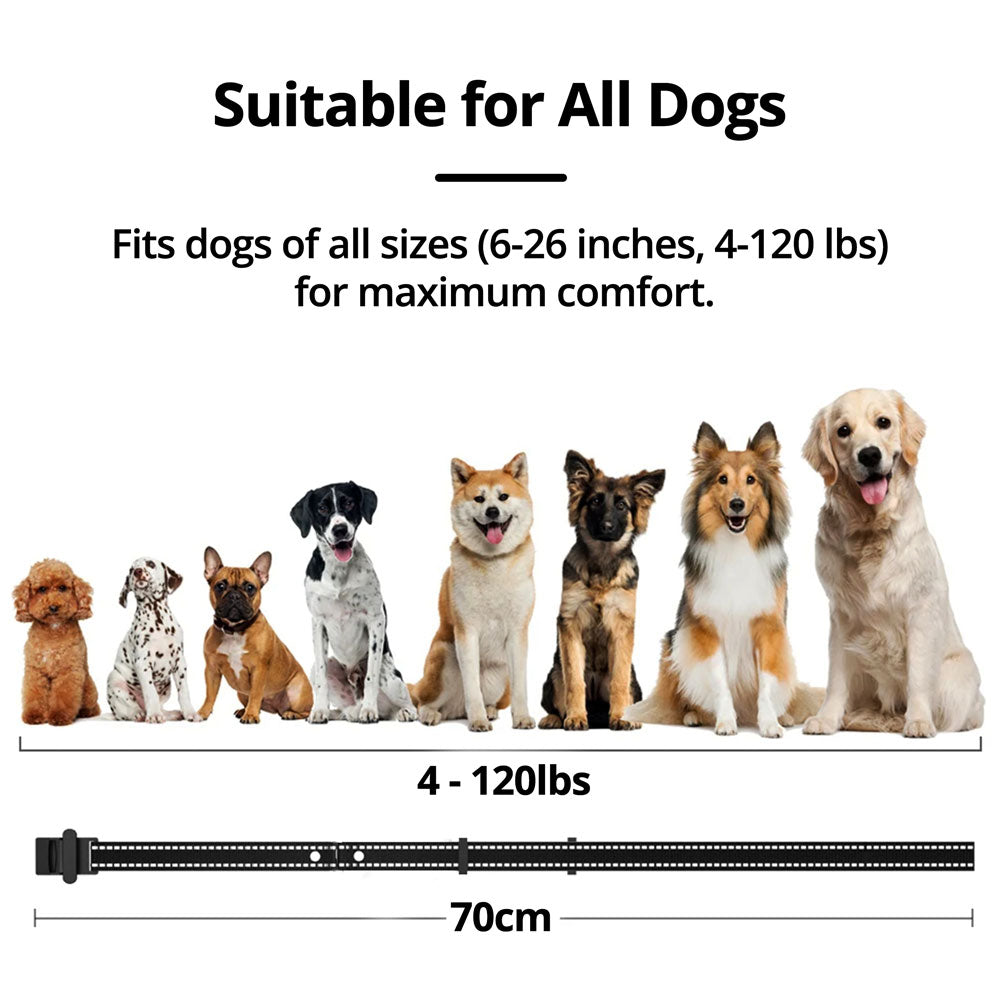 Easy Pet Containment System - Rechargeable Waterproof Collar