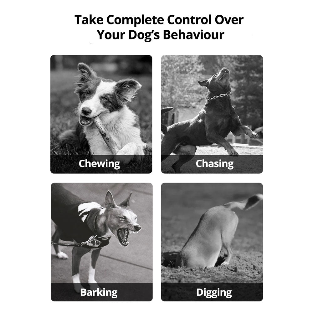 Easy Pet Containment System - Rechargeable Waterproof Collar