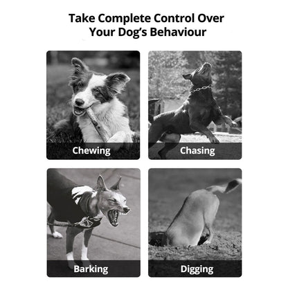 Easy Pet Containment System - Rechargeable Waterproof Collar