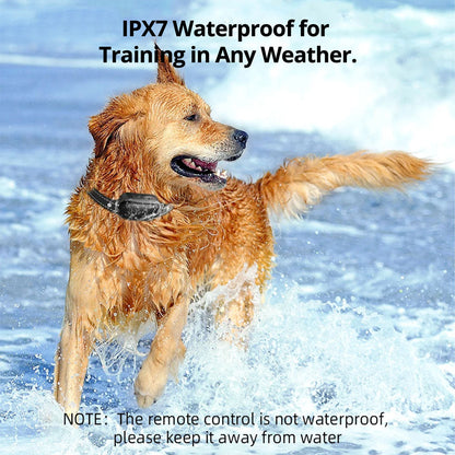 Easy Pet Containment System - Rechargeable Waterproof Collar