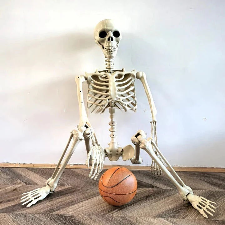 Realistic Human Skeleton Model, Full Size - Luxicro