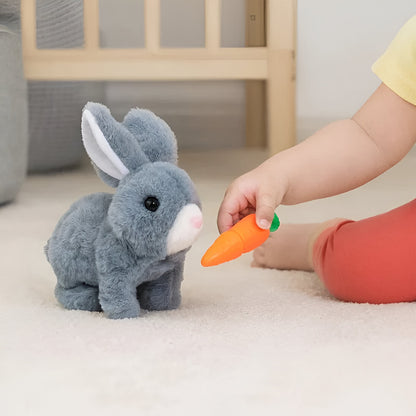 Cuddly Bunny Soft Play Toy