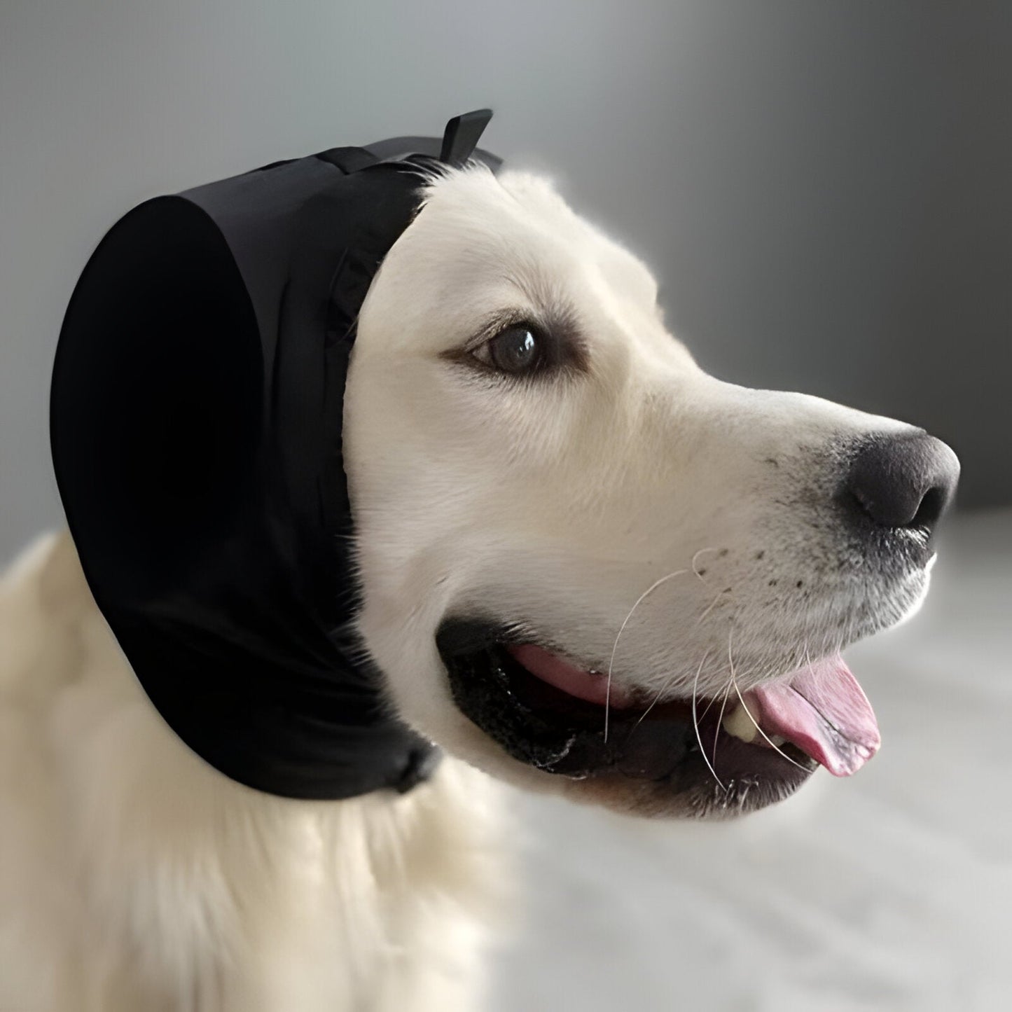 Dog Ear Protection Noise Cancelling Muffs - Luxicro