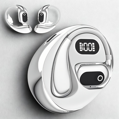 Real Time Language Translation Headphones