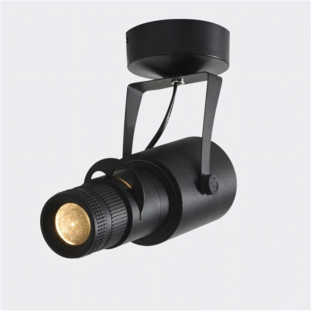 Adjustable LED Aluminum Spot Light Fixture