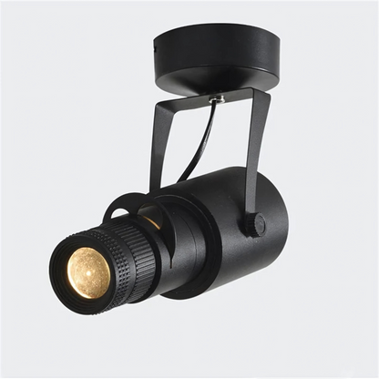 Adjustable LED Aluminum Spot Light Fixture
