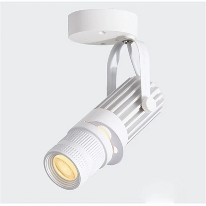 Adjustable LED Aluminum Spot Light Fixture