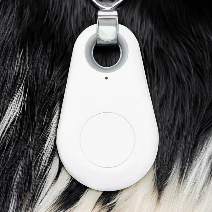 Accurate GPS Pet Tracker for Dogs and Cats