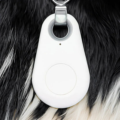 Accurate GPS Pet Tracker for Dogs and Cats