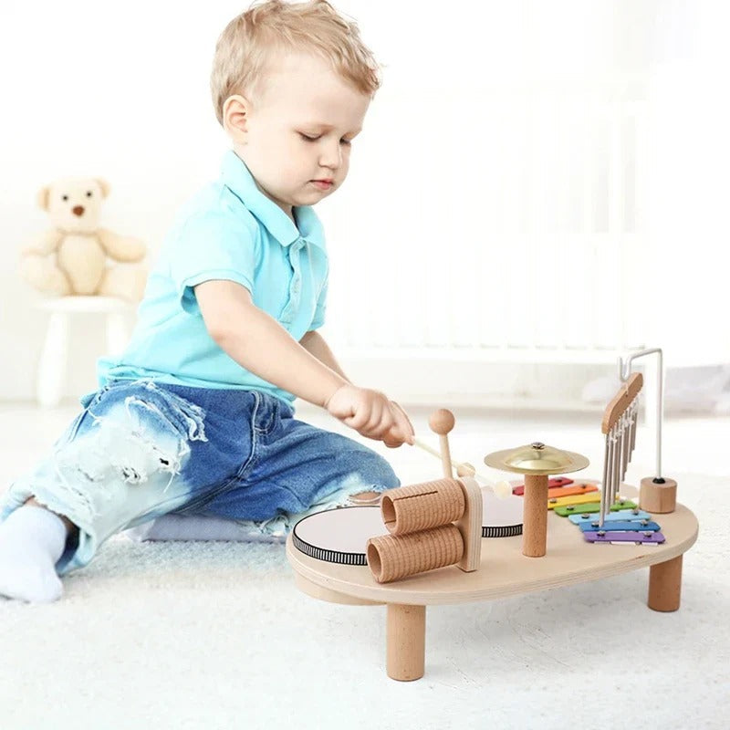Baby Musical Instrument Toy Set