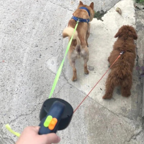 Pet Safe Dual Dog Leash with LED Flashlight & Rotating Clip