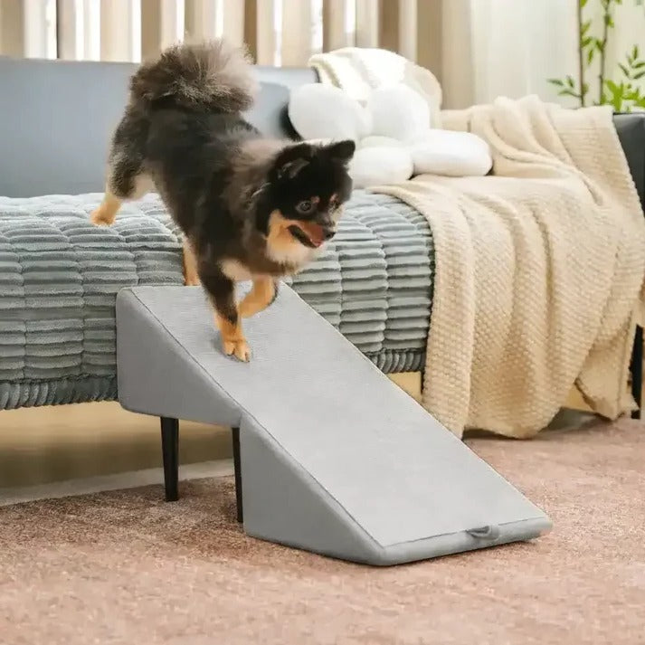 Portable Pet Ramp and Folding Step